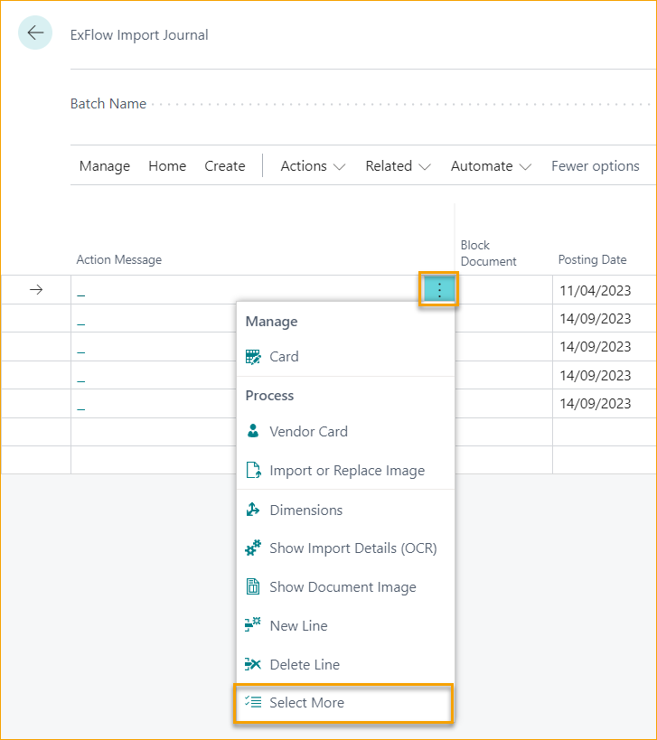 Diario de Importación de ExFlow - Seleccionar Más